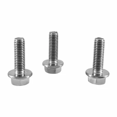 Hex Flange Bolt Iso